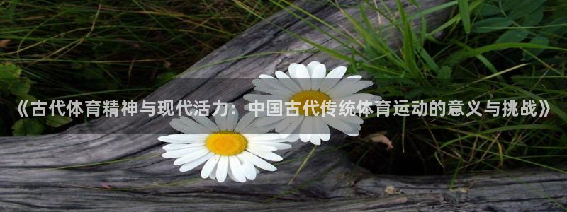 MK体育官方正版app娱乐是那个系列的台子：《古代体