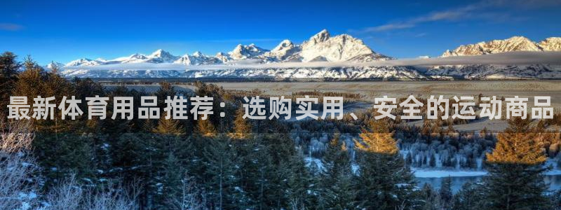 MK体育官网下载招商：最新体育用品推荐：选购实用、安