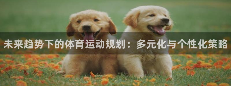 MK体育官网下载招商电话号码：未来趋势下的体育运动规
