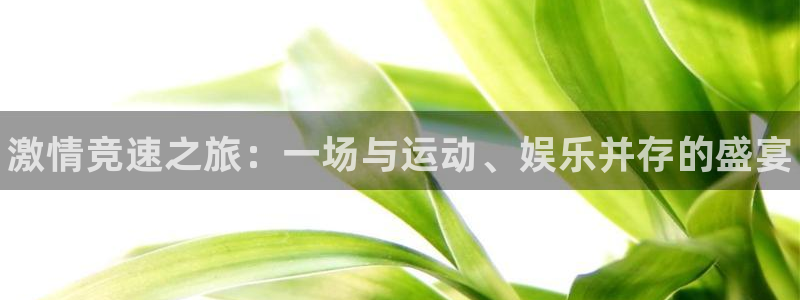 MK体育官方正版app集团官网首页：激情竞速之旅：一