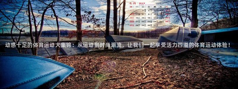 MK体育官网下载招商电话号码是多少：动感十足的体育运