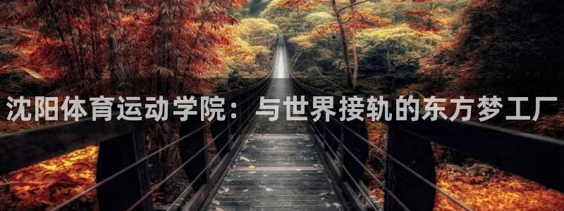 MK体育官网下载平台假的吗是真的吗吗：沈阳体育运动学