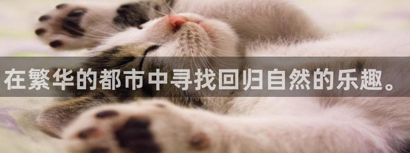 MK体育官方正版app新能源：在繁华的都市中寻找回归