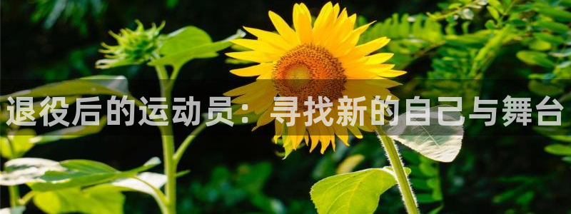 MK体育官网下载招商电话号码是多少啊：退役后的运动员