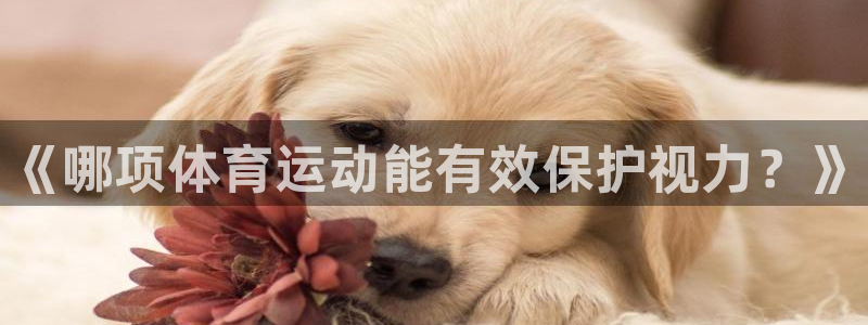 MK体育官网下载招商电话是多少：《哪项体育运动能有效
