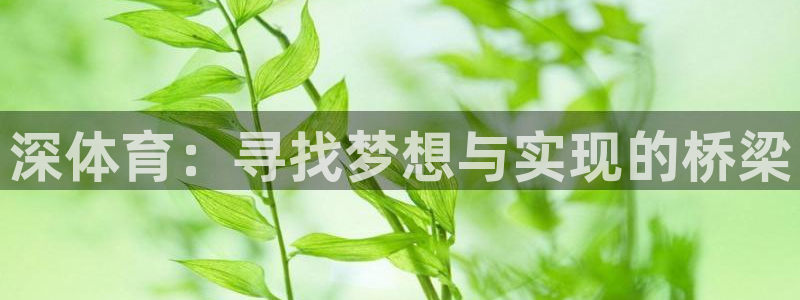MK体育官网下载平台注册流程图：深体育：寻找梦想与实现的桥梁