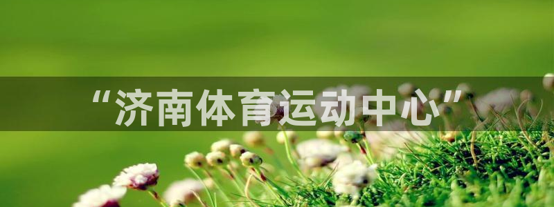 海南MK体育官网下载发展怎么样：“济南体育运动中心”