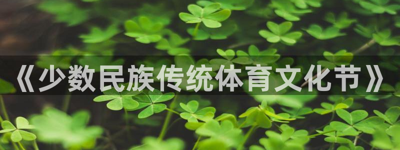 MK体育官方正版app官网：《少数民族传统体育文化节》