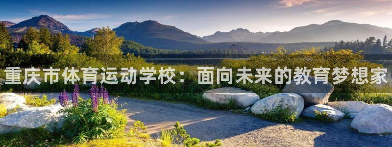 海南MK体育官网下载发展怎么样：重庆市体育运动学校：面向未来