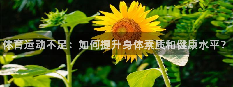 MK体育官方正版app娱乐下载：体育运动不足：如何提升身体素