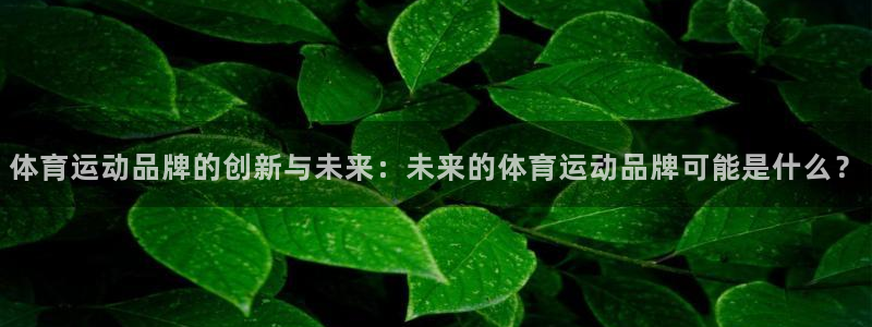 MK体育官网下载招商电话号码查询是多少：体育运动品牌的创新与