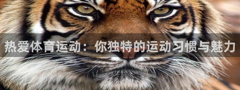 MK体育官网下载招商电话号码是多少号：热爱体育运动：你独特的