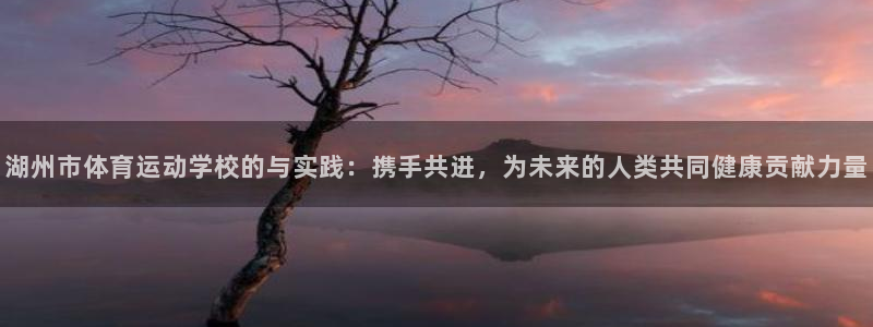MK体育官方正版app集团logo