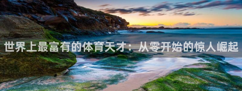 MK体育官方正版app官方：世界上最富有的体育天才：