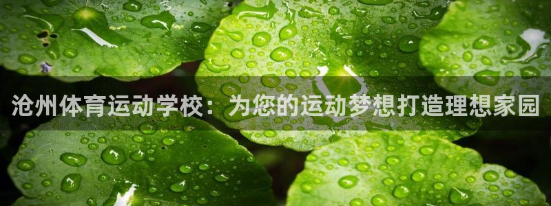 海南MK体育官网下载发展怎么样：沧州体育运动学校：为您的运动