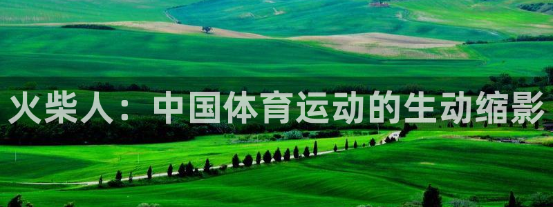MK体育官网下载平台注册要钱吗：火柴人：中国体育运动
