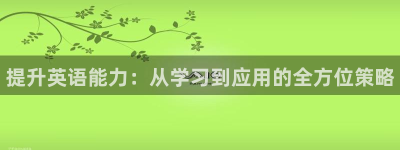 MK体育官方正版app新能源：提升英语能力：从学习到应用的全