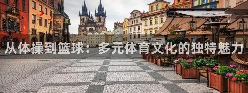 MK体育官网下载招商电话号码：从体操到篮球：多元体育文化的独