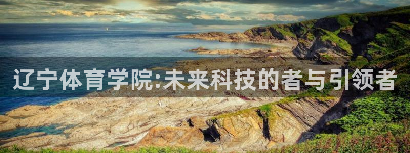 MK体育官方正版app五金厂：辽宁体育学院:未来科技的者与引