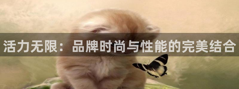 MK体育官方正版app代理：活力无限：品牌时尚与性能