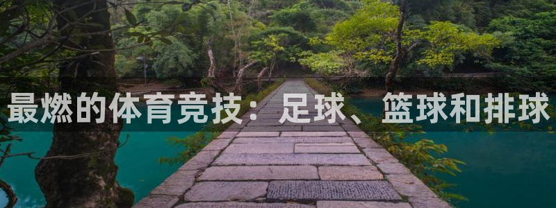 MK体育官方正版app开户：最燃的体育竞技：足球、篮球和排球