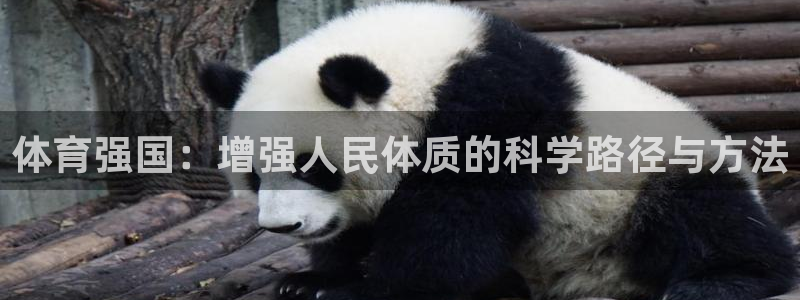 MK体育官方正版app代理：体育强国：增强人民体质的科学路径