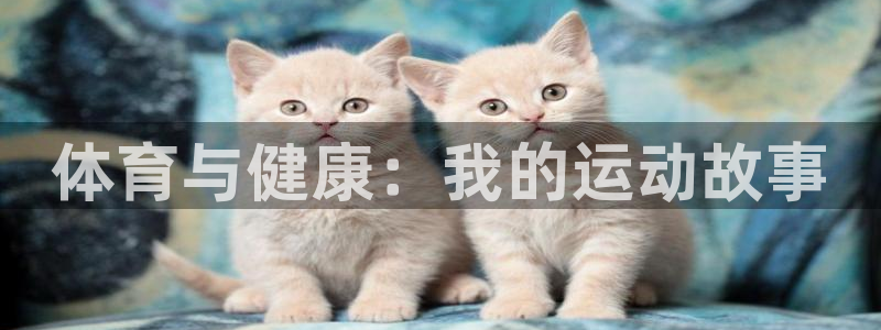 MK体育官方正版app集团E.ON：体育与健康：我的运动故事