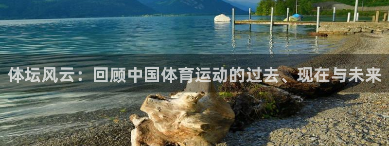 MK体育官方正版app官方