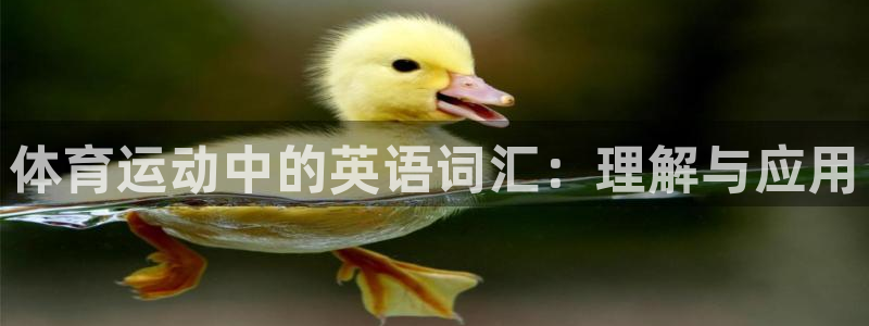 MK体育官方正版app娱乐代理怎么样：体育运动中的英语词汇：