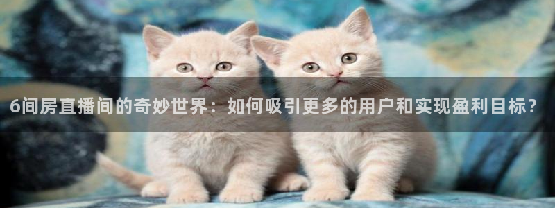 新球体育网球比分