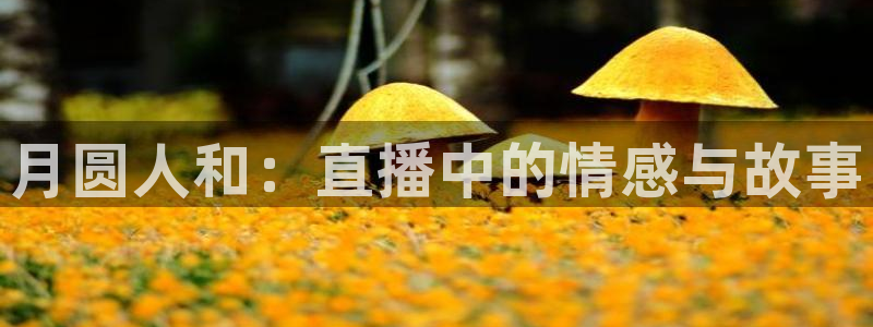 新球体育完整版