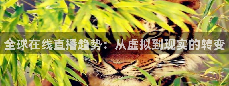 新球足球