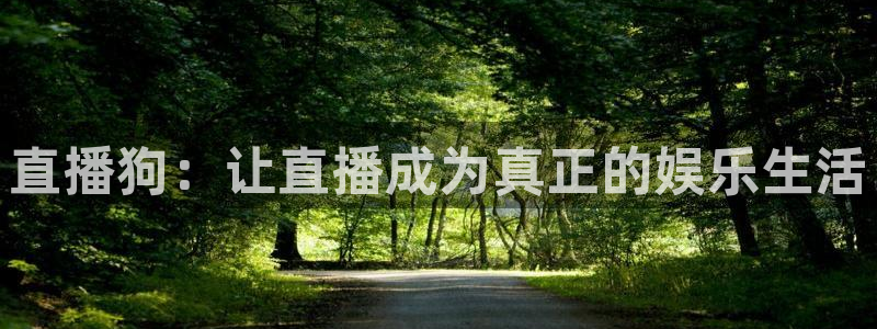 新球体育足球