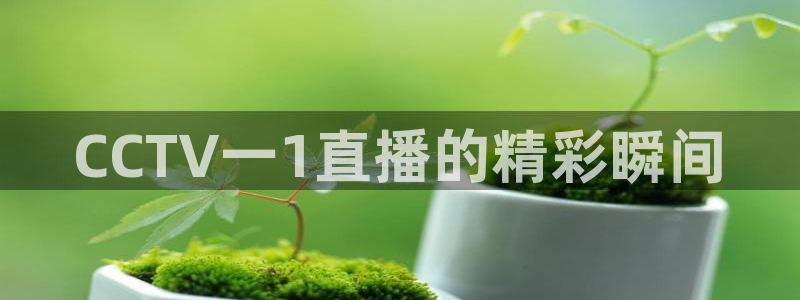 新球足球直播：CCTV一1直播的精彩瞬间