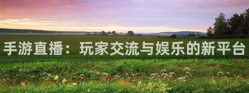 新球体育网球比分：手游直播：玩家交流与娱乐的新平台
